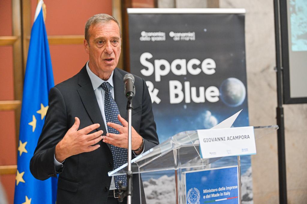 Acampora-space-&-Blue-Forum