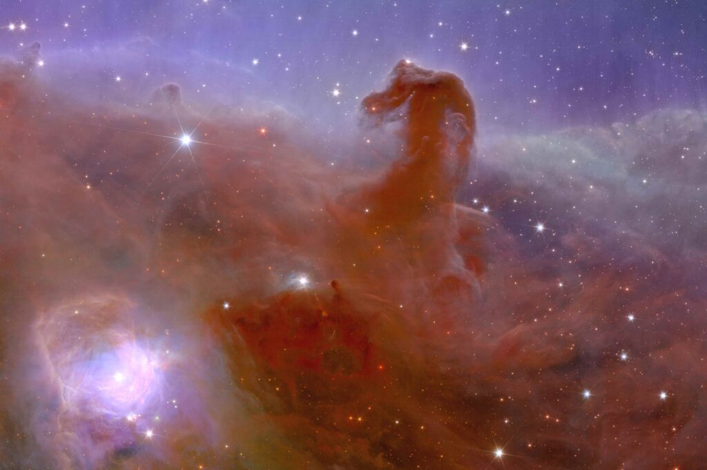 Le prime immagini di Euclid: il confine sfolgorante dell'oscurità 7 euclid s view of the horsehead nebula zoom 2 pillars