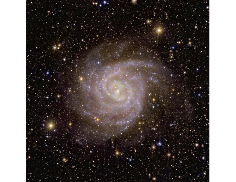 Le prime immagini di Euclid: il confine sfolgorante dell'oscurità 4 euclids view of spiral galaxy ic 342