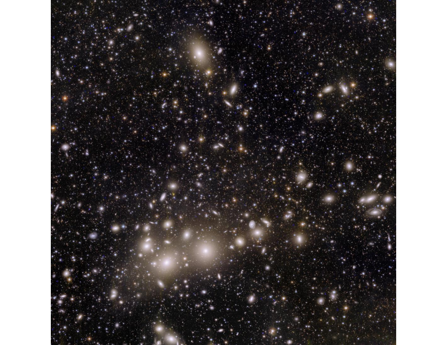 Le prime immagini di Euclid: il confine sfolgorante dell'oscurità 3 finding dwarf galaxies in euclids view of perseus