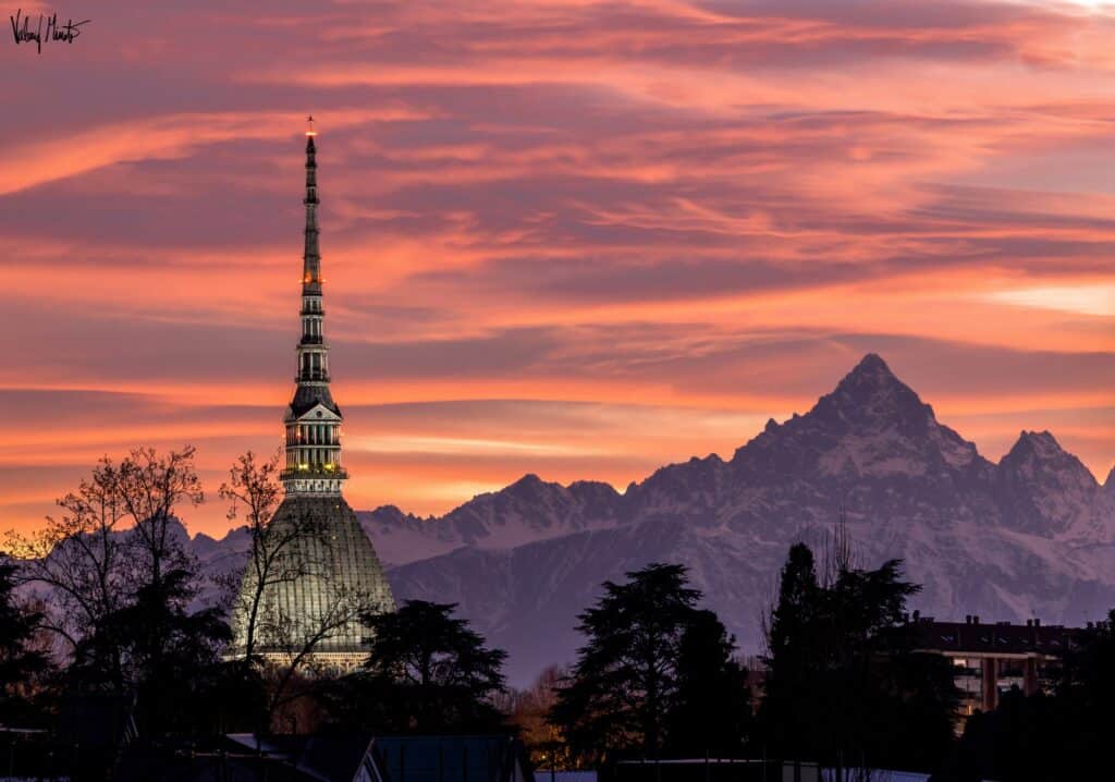 411515443 885836259580005 3237588201948558976 n