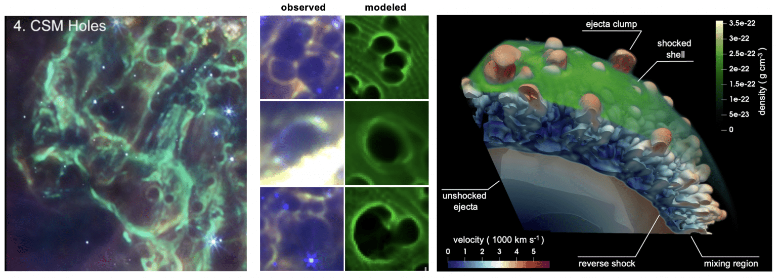 Mostro verde La figura illustra il modo in cui si forma la struttura del “Green Monster” osservato da Webb, grazie a un sofisticato modello idrodinamico tridimensionale che descrive l’interazione dinamica tra Cas A e un guscio di materiale circumstellare. Crediti: D.Milisavljevic, S.Orlando (Inaf), A. Wongwathanarat (Mpa), H.T. Janka (Mpa)