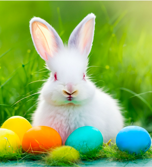 schermata 2024 03 28 alle 101013