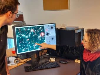 stelle webb 47 tucanae 340x255 1