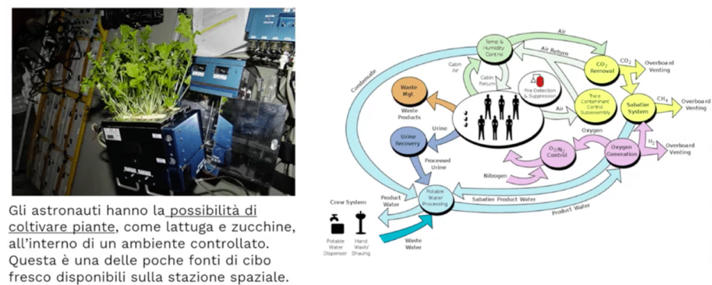 Space Dream 2024: all'ASI l'iniziativa ideata dal CTNA per diffondere la cultura aerospaziale nelle scuole 10 schermata 2024 06 05 alle 111328