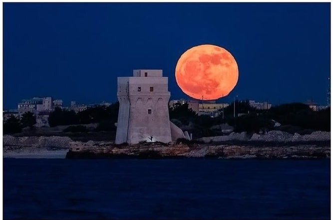 flower moon davide pischettola molfetta scatto instagram