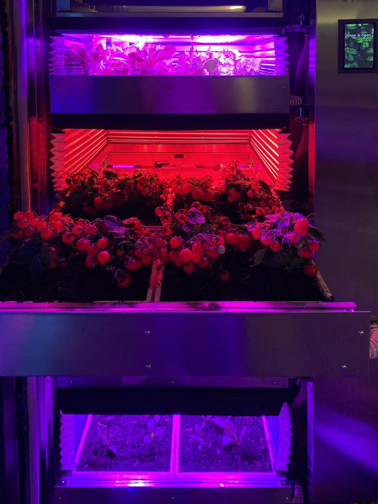 Malerba, una serra per lo Spazio. Intervista al Founder di SpaceV e 1° astronauta italiano con lo shuttle Atlantis nel 1992 7 render serra verticale adattiva spacev 2