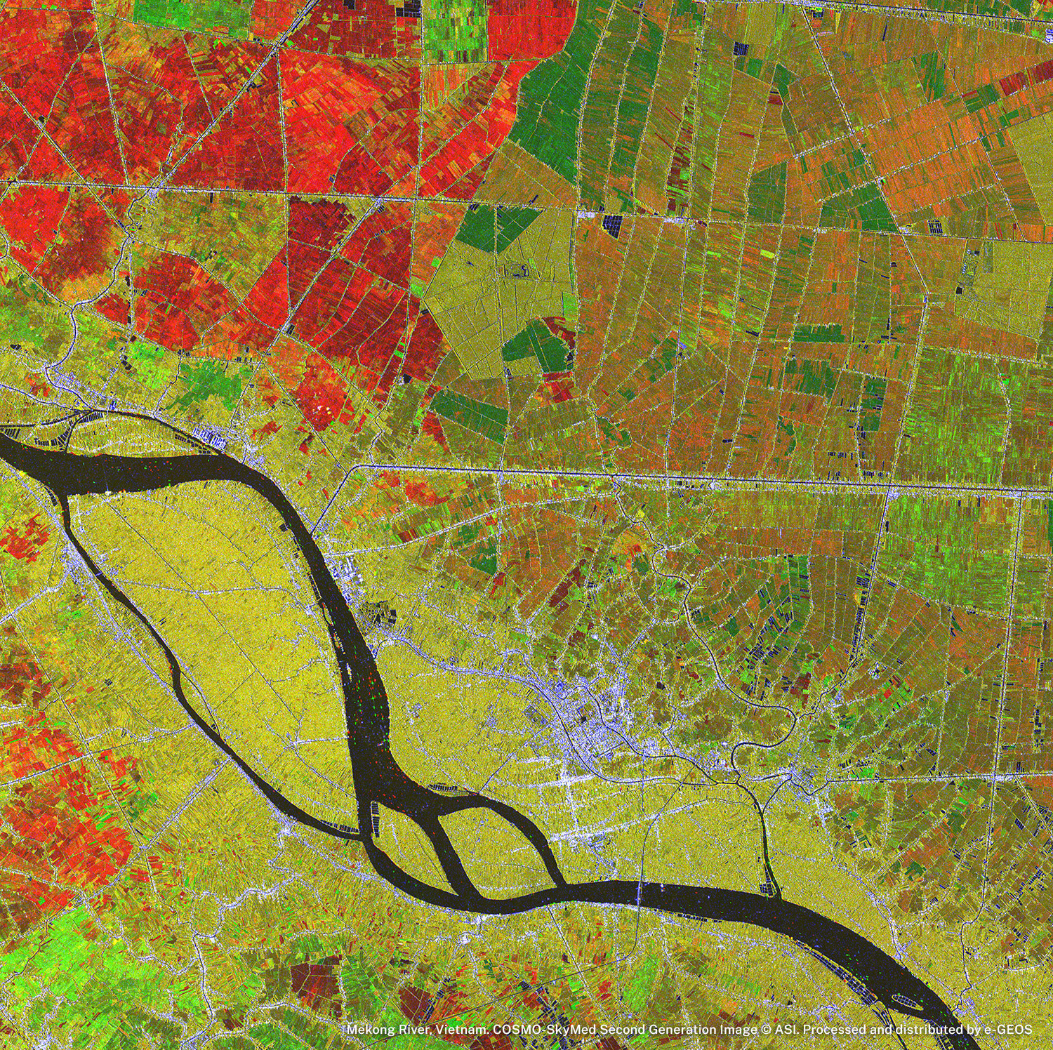 mase egeos vietnam cooperazione