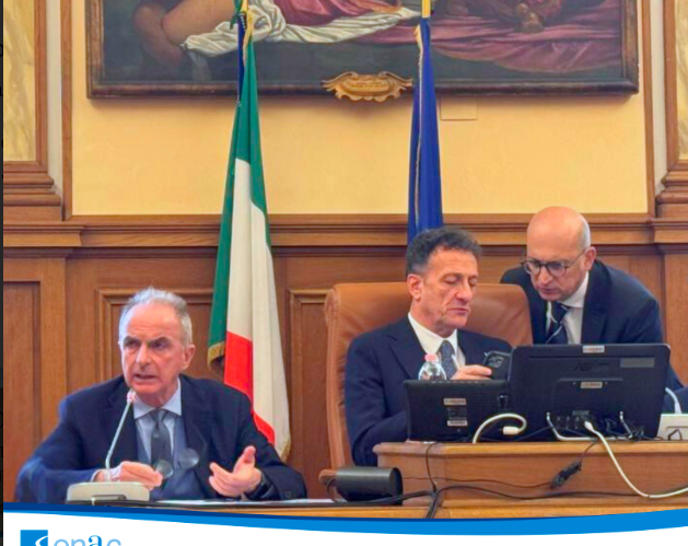 audizione enac di palma