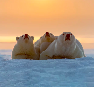 Attività spaziali e sviluppo sostenibile: due percorsi formativi SIOI per prepararsi alle sfide del domani 3 schermata 2024 12 20 alle 075243