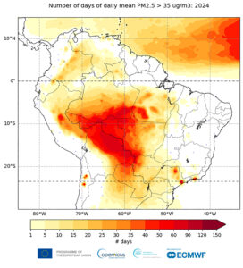 CAMS: incendi storici nel 2024 e impatti sulla salute globale