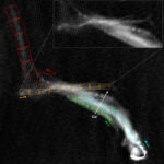 Radiogalassie di Abell 2255 rivelano nuovi filamenti sottili